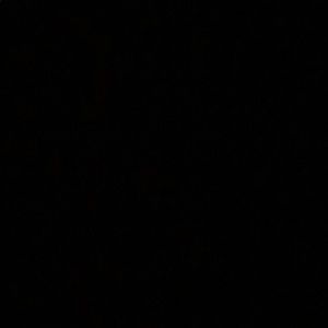 Meet your Posher, Dymond